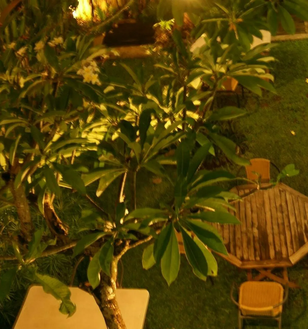 Sugiras Living Hotel Denpasar
